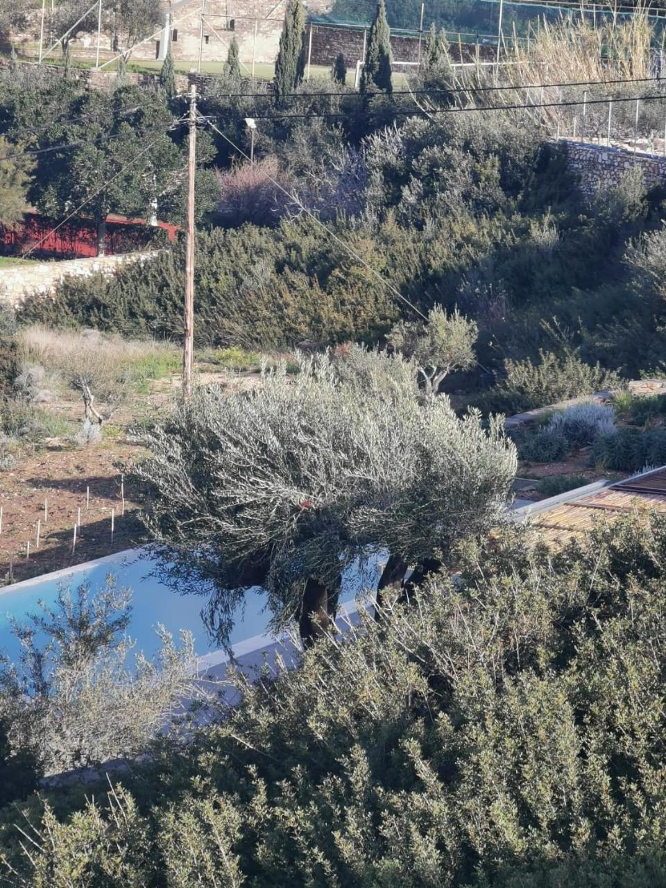 Olithos Villas Krotiri Exterior foto